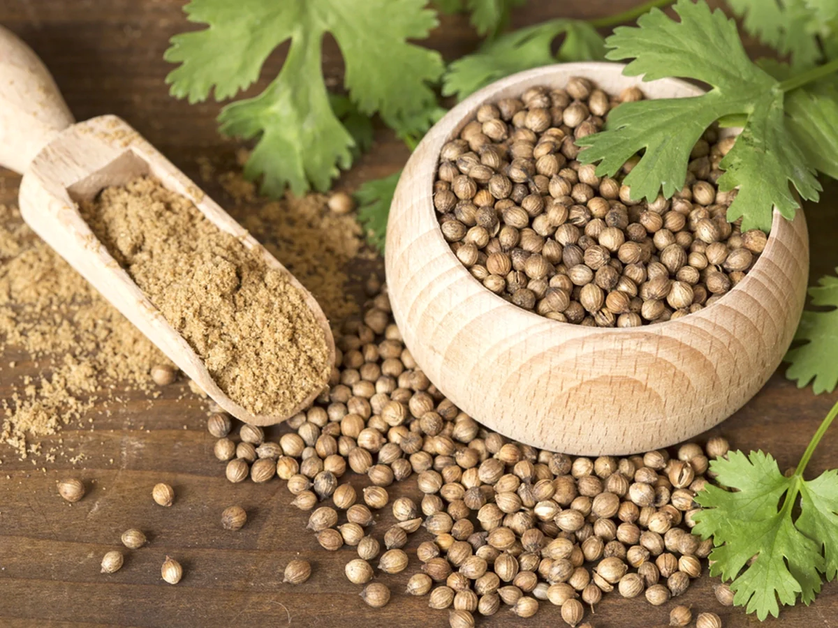 Coriander_Seeds